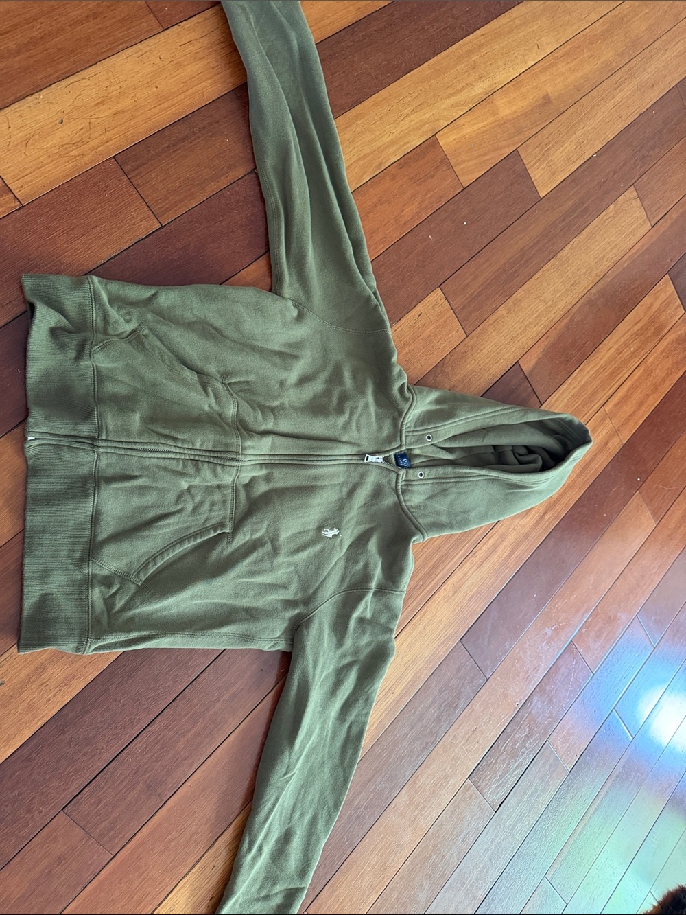 Polo by Ralph Lauren Olive Green Zip Hoodie with Embroidered Pony